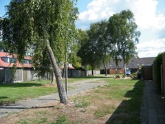 De Fuut 21, 7609 BX Almelo - almelo huren 005